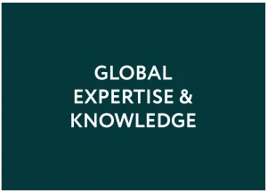 All the information required across jurisdictions